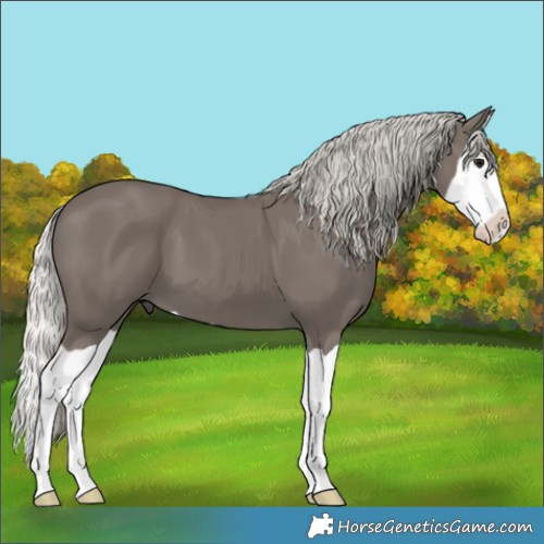 Horse Color:Silver Smoky Black Splash 