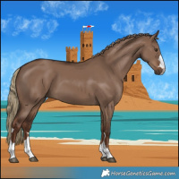 Horse Color:Liver Red Dun Rabicano