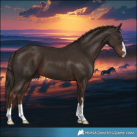 Horse Color:Liver Chestnut 