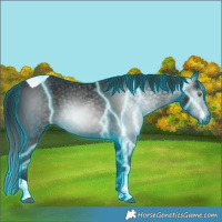 Horse Color:Gray Thunderstruck Black Tobiano 