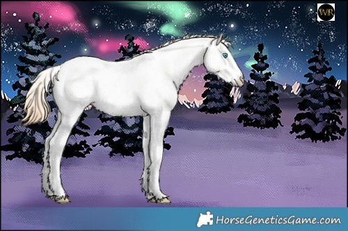 Horse Color:White Spotted Buckskin Ice Pearl