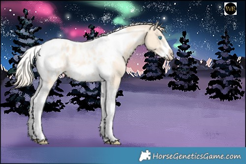 Horse Color:Perlino Tobiano Frame Blanket 