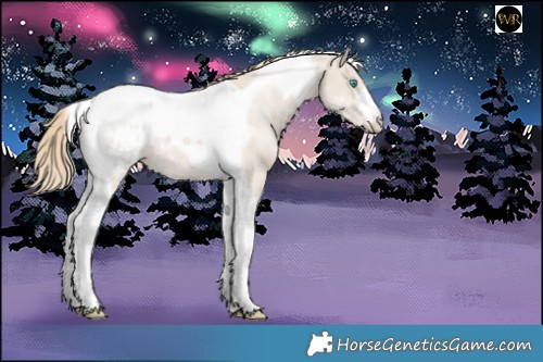 Horse Color:Smoky Creme Tobiano Blanket