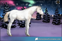 Horse Color:Smoky Creme Tobiano Blanket 