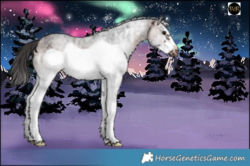 Horse Color:White Spotted Brown Ice Frame 