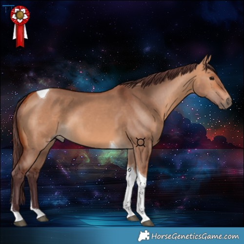 Horse Color:Chocolate Bay Dun Tobiano 
