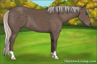 Horse Color:Silver Black 