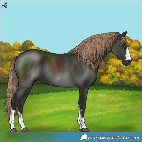 Horse Color:Liver Chestnut Rabicano