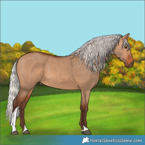 Horse Color:Silver Bay Dun Tobiano 