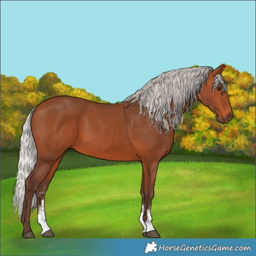 Horse Color:Silver Brown Sabino 
