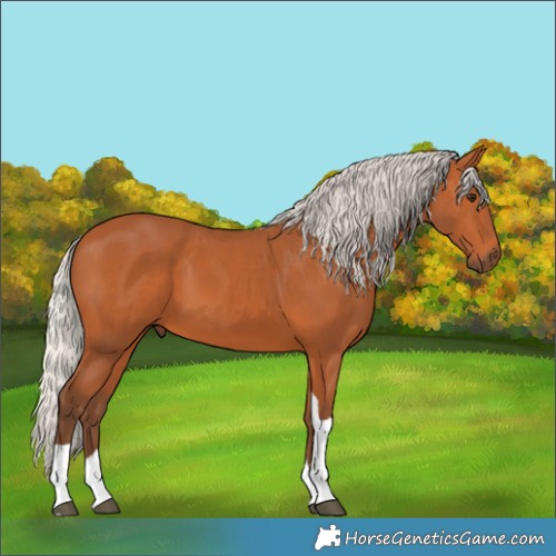 Horse Color:Silver Bay Tobiano 