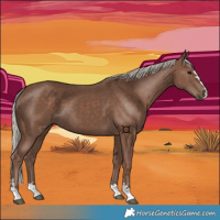 Horse Color:Silver Black