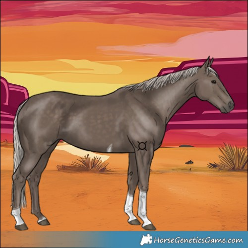 Horse Color:Silver Black Tobiano