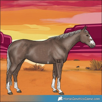 Horse Color:Silver Black 