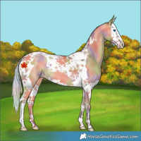Horse Color:Nacre Silver Amber Champagne Splash Tobiano 