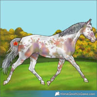 Horse Color:Nacre Silver Amber Champagne Splash Tobiano