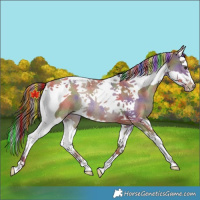 Horse Color:Painted Nacre Classic Champagne Splash Tobiano Rabicano 
