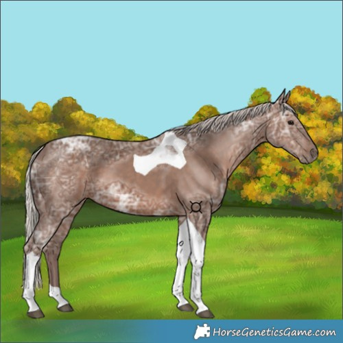 Horse Color:Silver Black Ice Tobiano 