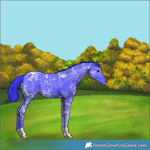 Horse Color:Watercolor Black Ice 