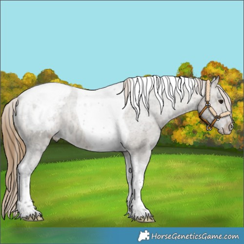 Horse Color:Buckskin Ice Dun Tobiano Snowcap 