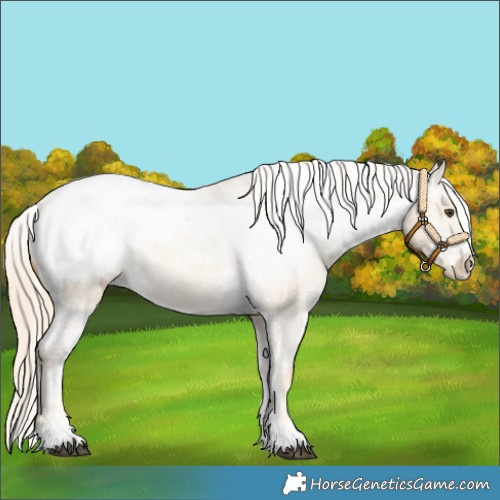 Horse Color:Palomino Dun Snowcap 