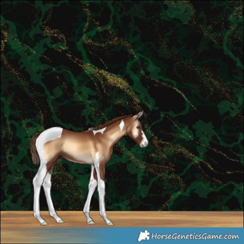 Horse Color:Red Onyx Tobiano 
