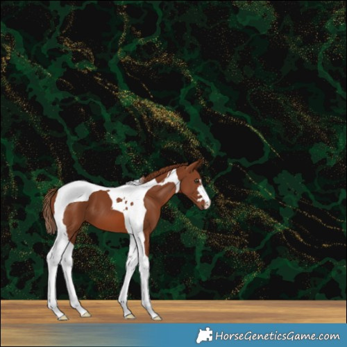 Horse Color:Chestnut Tobiano 