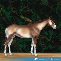 Horse Color:Red Onyx 