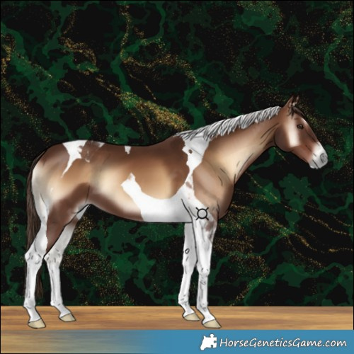 Horse Color:Red Onyx Tobiano