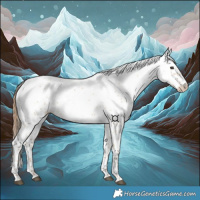 Horse Color:White Spotted Red Dun