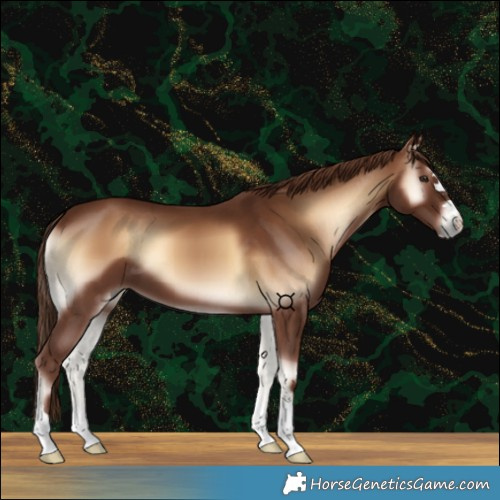 Horse Color:Red Onyx 