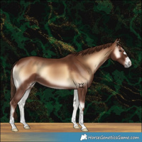 Horse Color:Red Onyx 