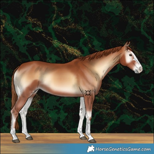 Horse Color:Red Onyx 