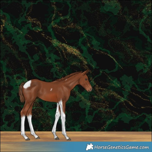 Horse Color:Chestnut Tobiano 