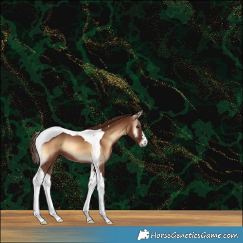 Horse Color:Red Onyx Tobiano