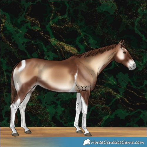 Horse Color:Red Onyx Tobiano 