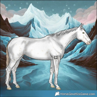 Horse Color:White Spotted Gold Champagne 