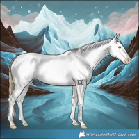 Horse Color:White Spotted Gold Champagne Splash 