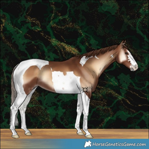 Horse Color:Red Onyx Tobiano 