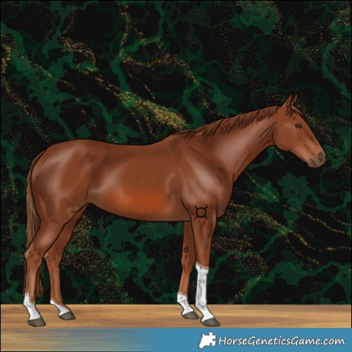 Horse Color:Chestnut Tobiano 