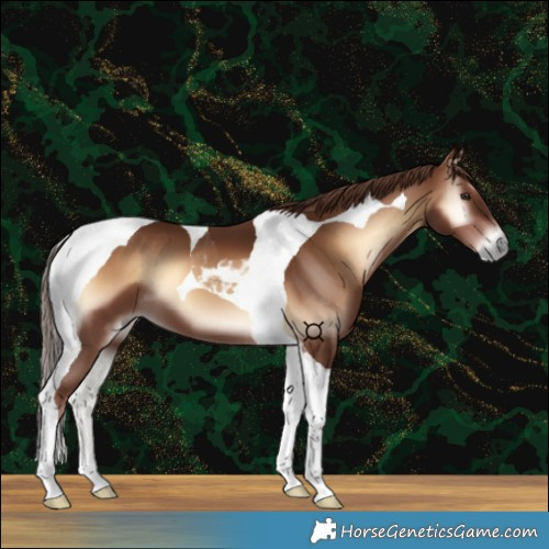 Horse Color:Red Onyx Tobiano 