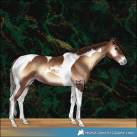 Horse Color:Red Onyx Tobiano