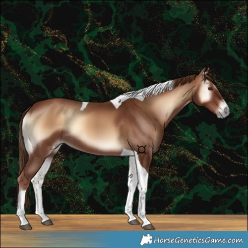 Horse Color:Red Onyx Tobiano