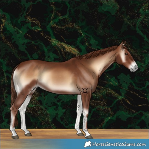 Horse Color:Red Onyx 