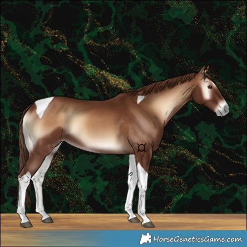 Horse Color:Red Onyx Tobiano