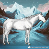 Horse Color:White Spotted Red Dun