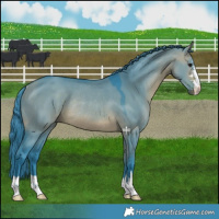 Horse Color:Watercolor Bay Dun Rabicano 