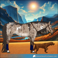 Horse Color:White Spotted Liver Red Dun Rabicano Brindle 