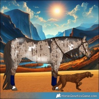 Horse Color:White Spotted Liver Red Dun Rabicano Brindle