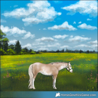 Horse Color:White Spotted Chocolate Palomino Pearl Splash Rabicano